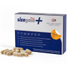 SIZEGAIN PLUS
