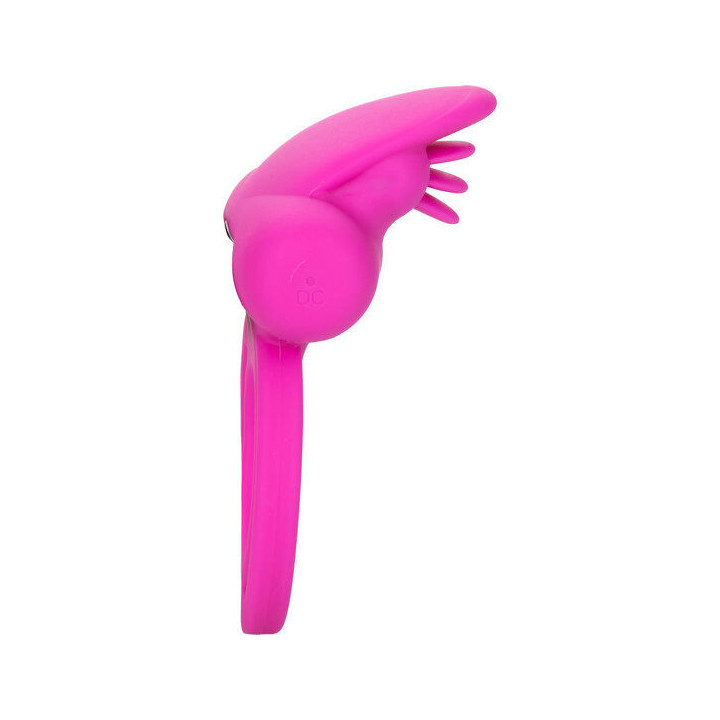 CALEXOTICS - AMÉLIORATEUR DE SCINTILLEMENT DOUBLE CLITO